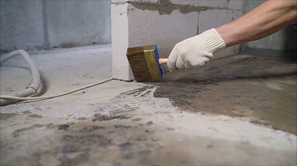 Top rated local Waterproofing specialists in Goodlettsville, TN